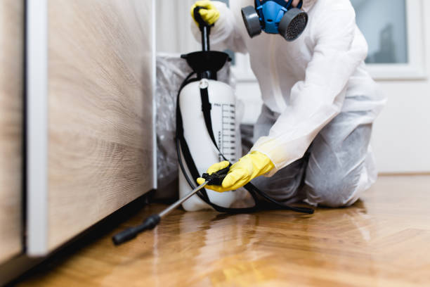Best Ant Control Services  in Callahan, FL
