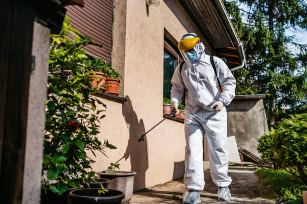 Trusted Callahan, FL Pest Control Experts